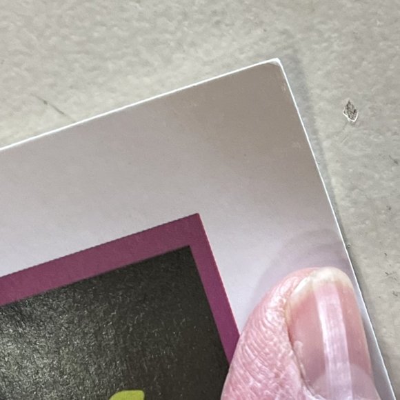 MINT/NM Syd Barrett Lithographic Poster 2013 Bob Masse Signed 17" x 24" - Picture 3 of 8